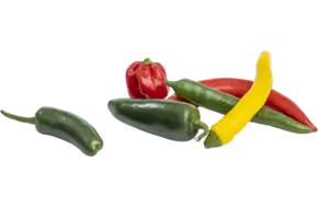 Spicy planet peper verpakt 75gr stuk
